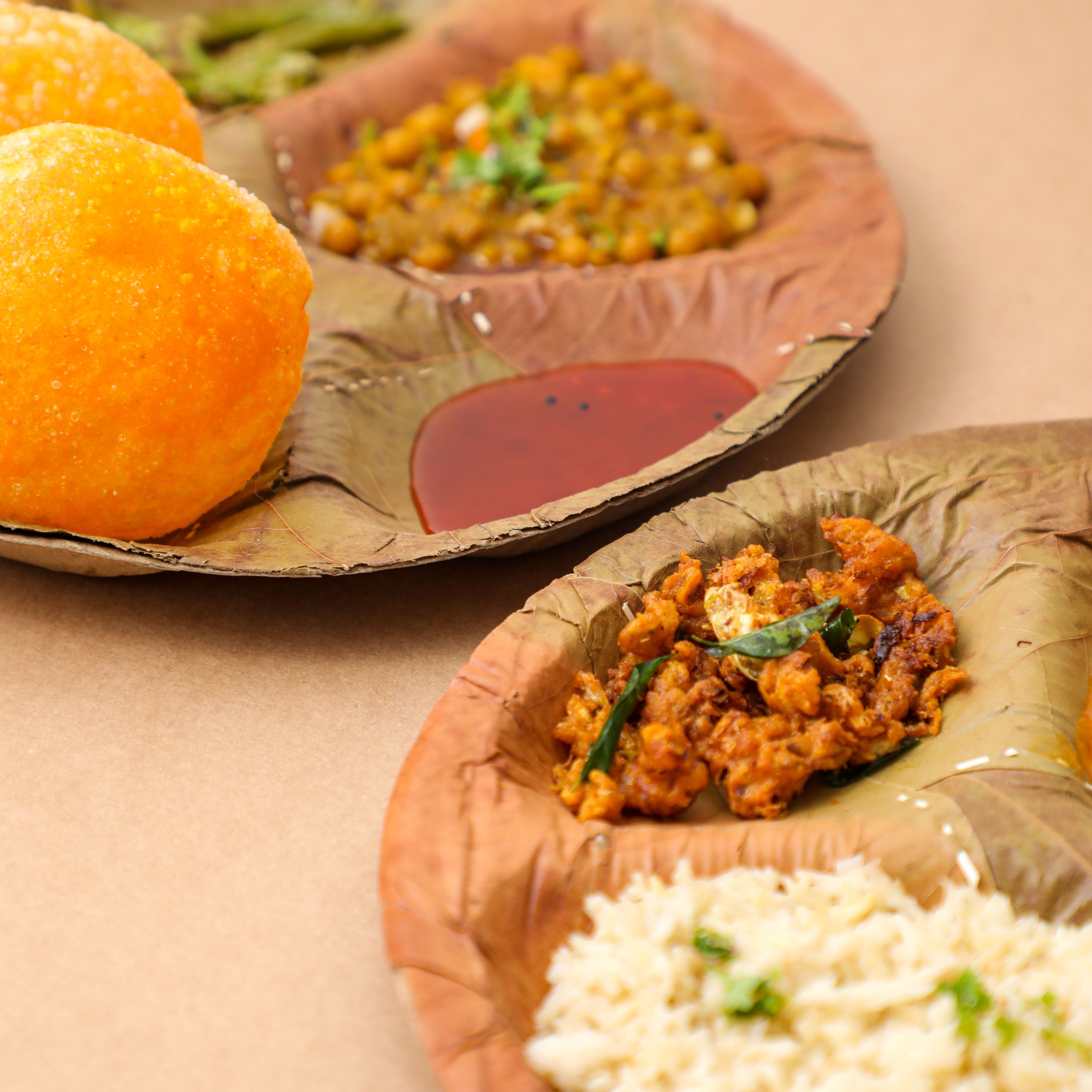 disposable Indian sal leaf plates