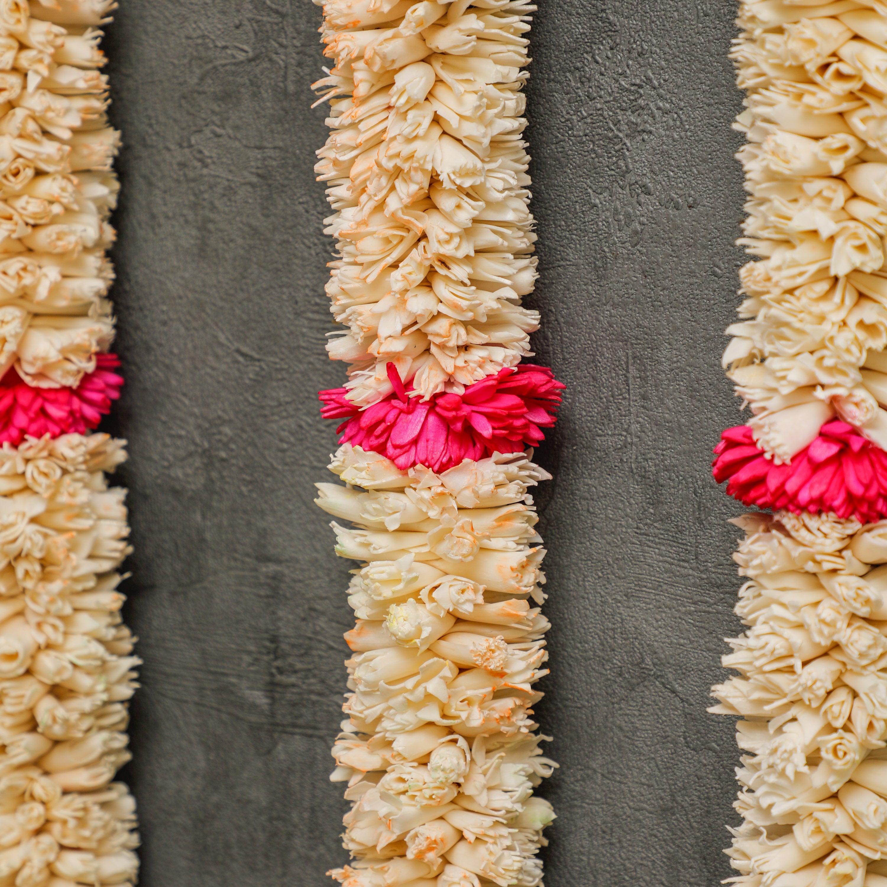 Pink flower in the middle of Sola Wood Strings