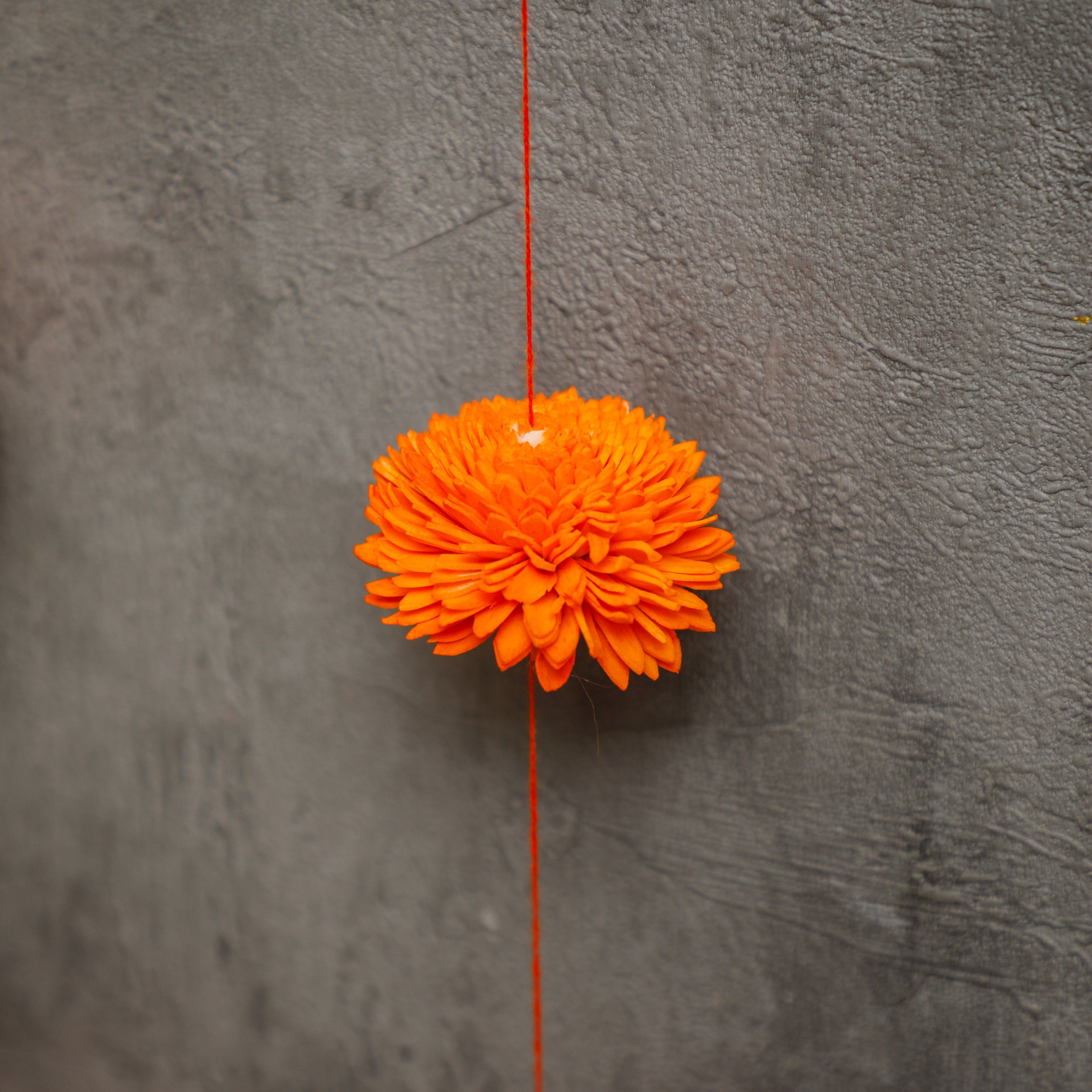String With Flowers Shop Party Decorative Flowers Strings from Desifavors