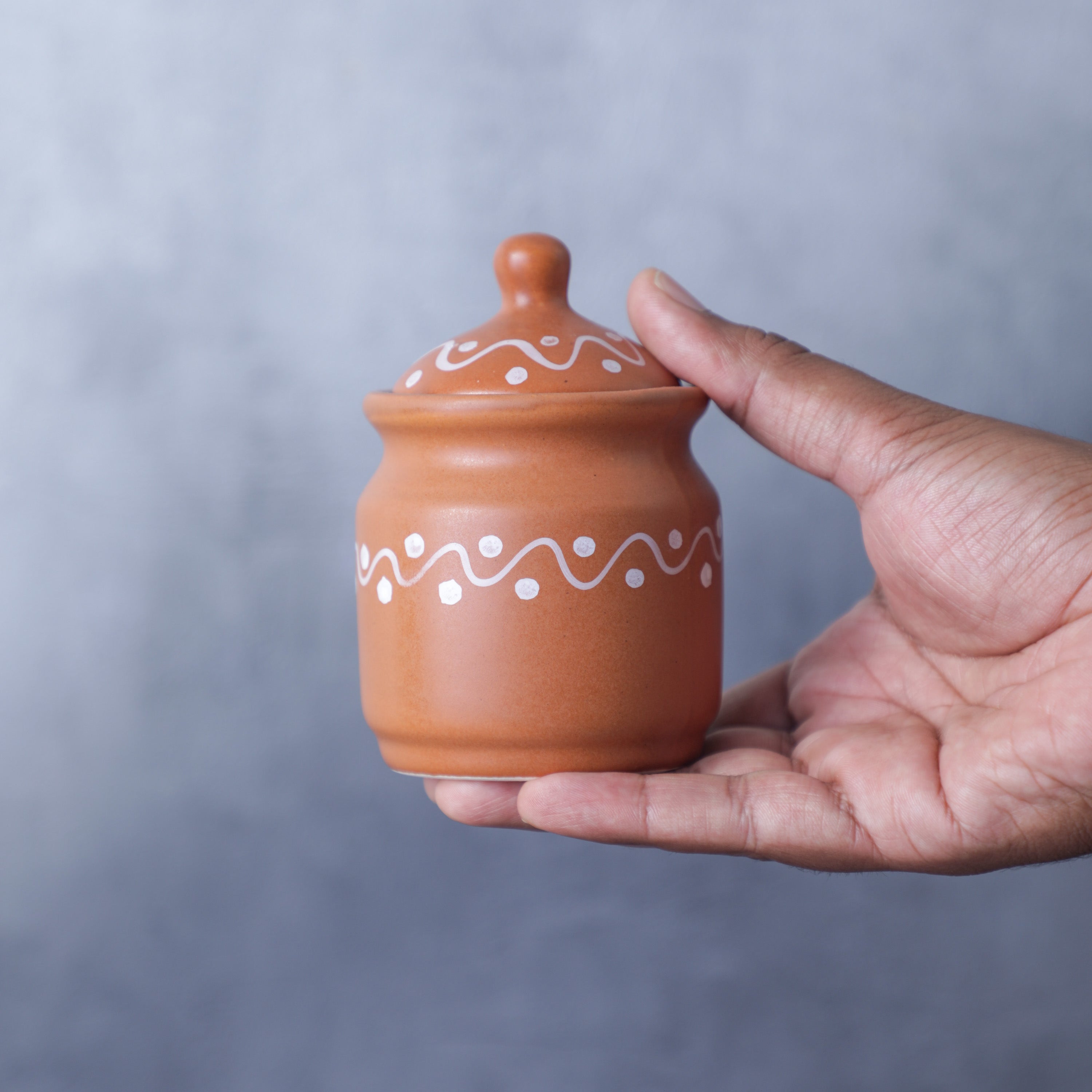 Ceramic Storage Jar with Lid- Proudly Made in India from Desifavors