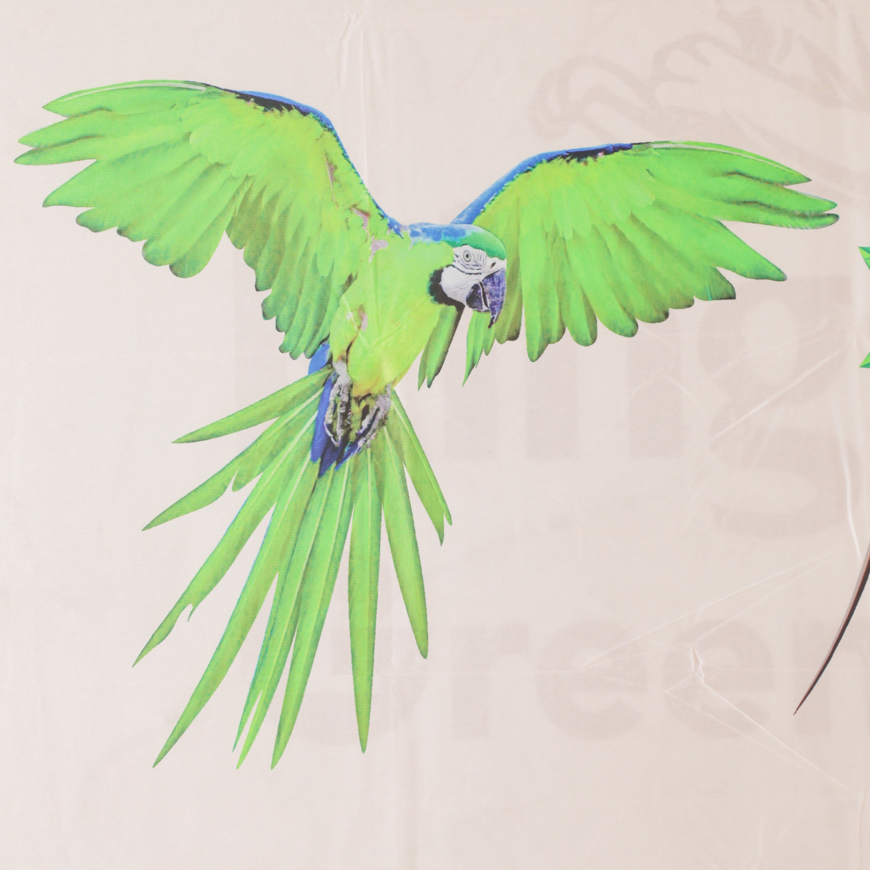 printed Parrot on backdrop cloth