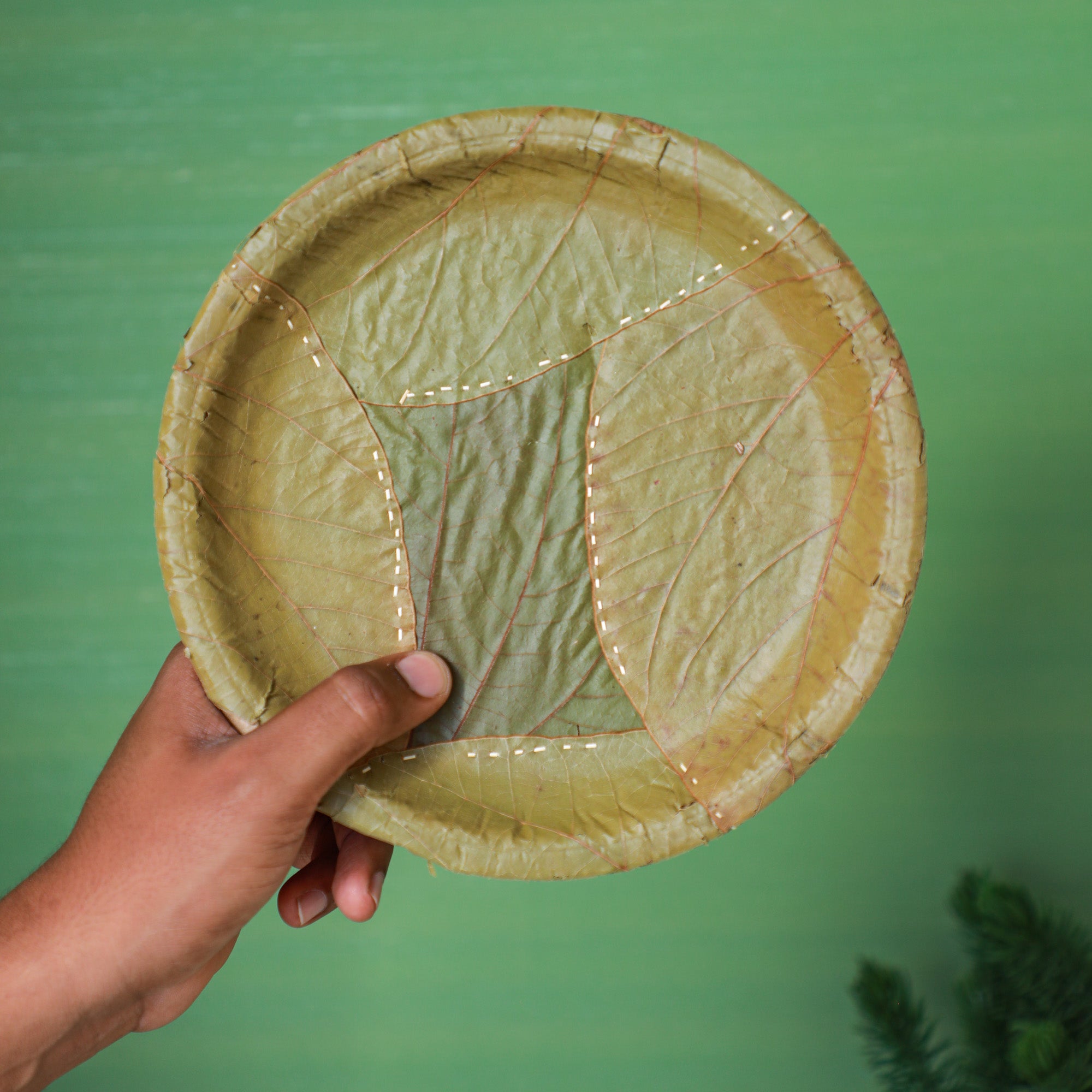 Natural and Light weight disposable plates for wedding and reception