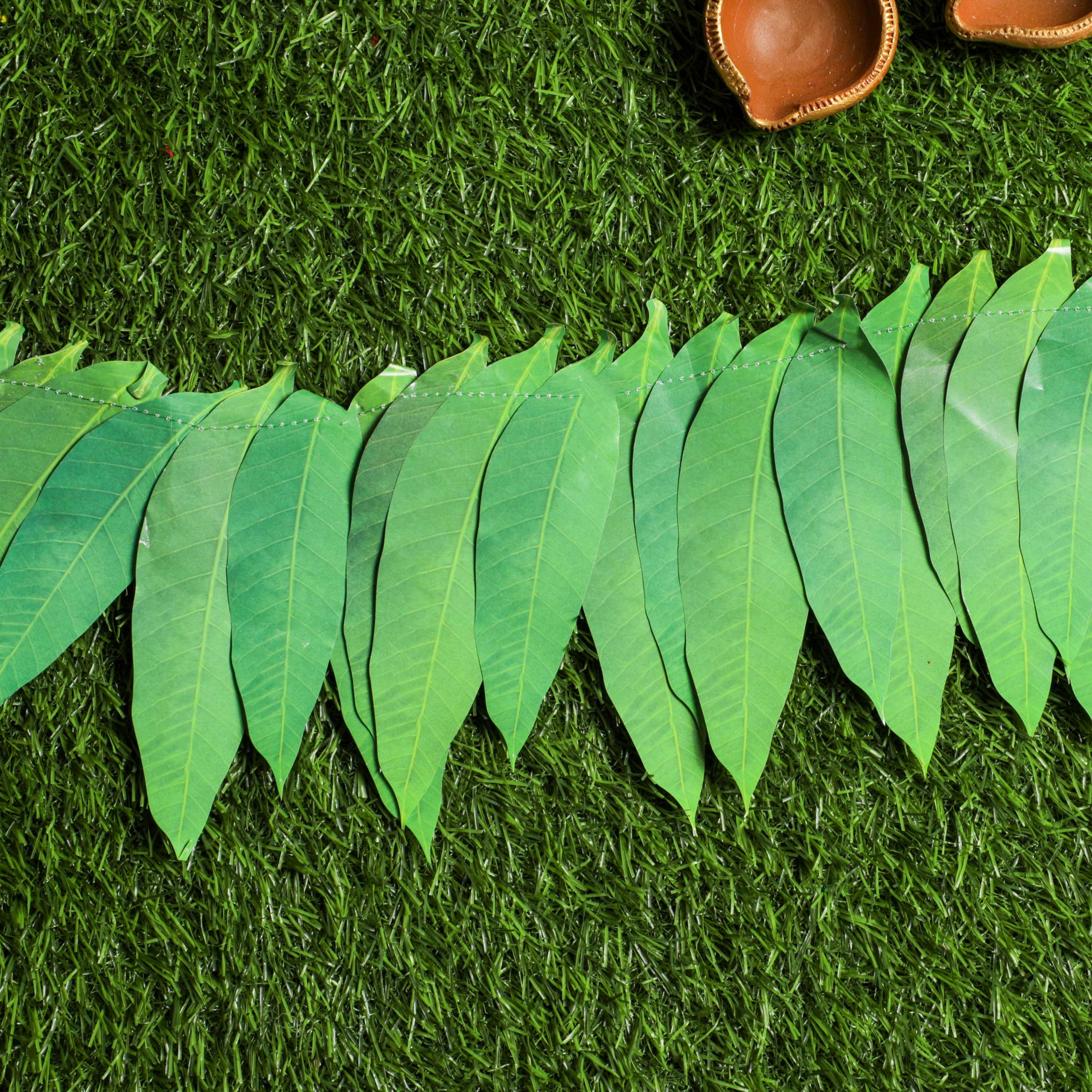 Home/Office entryway toran for luck