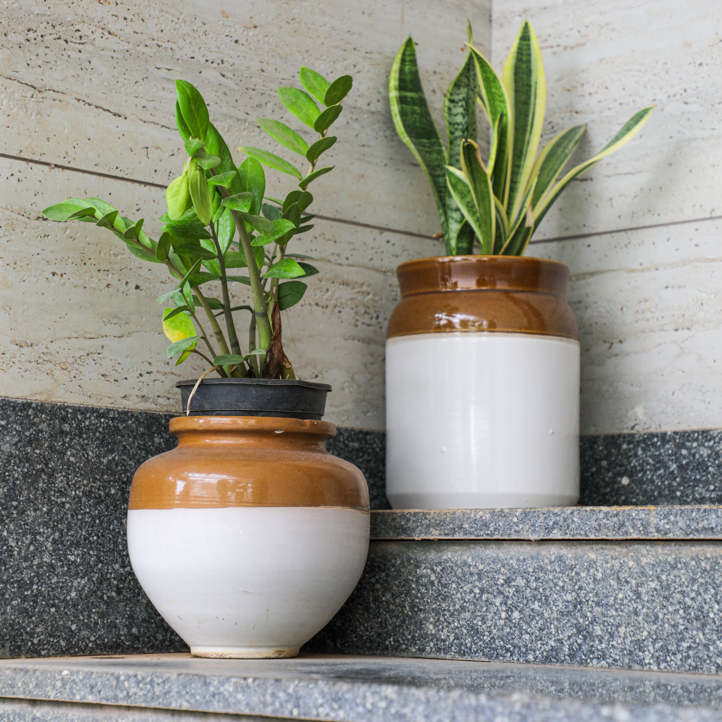 indian plant pots Pickle Jars as decorative vases for Indians in the USA -Desifavors.com