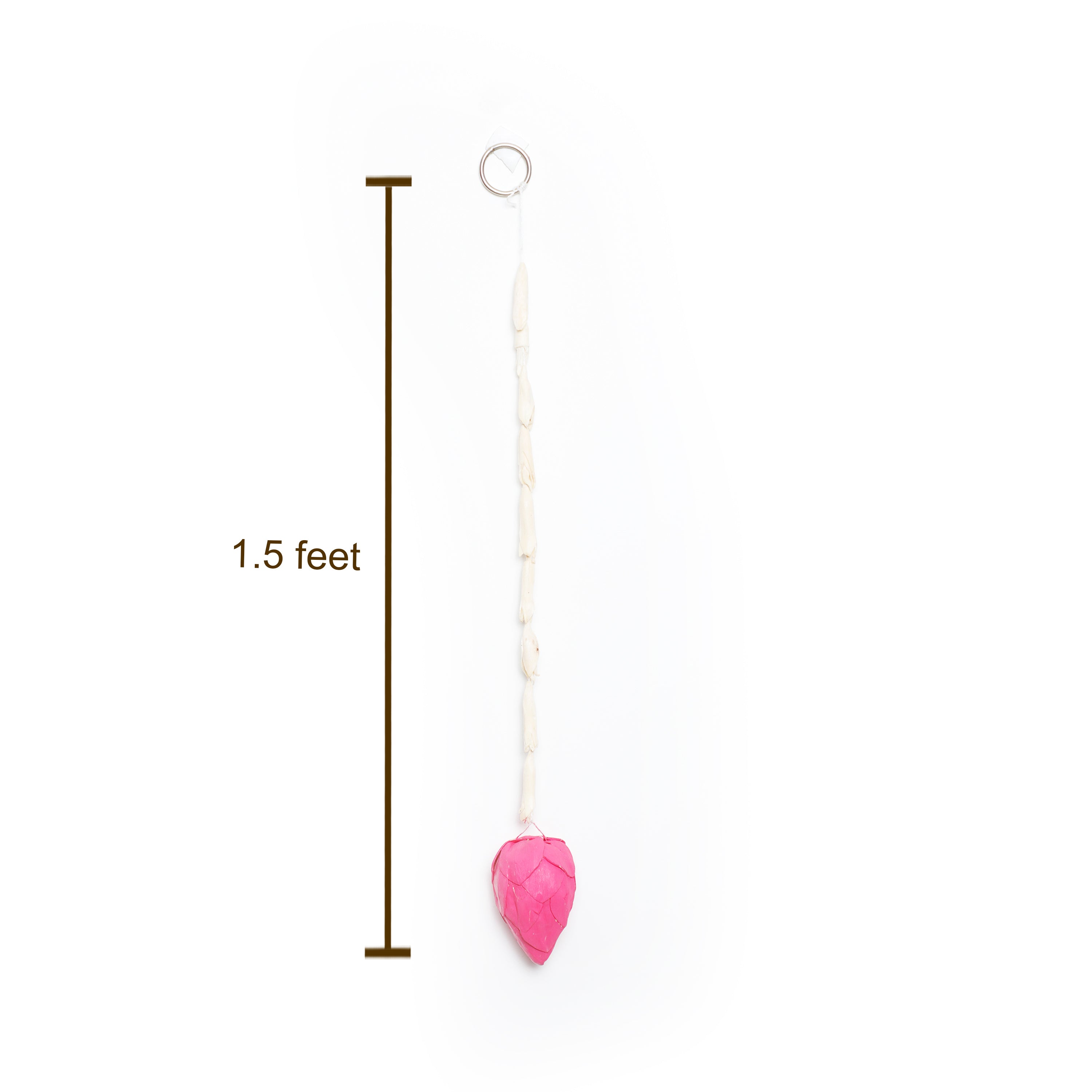 Flower hangings for entryway and home/office decoration