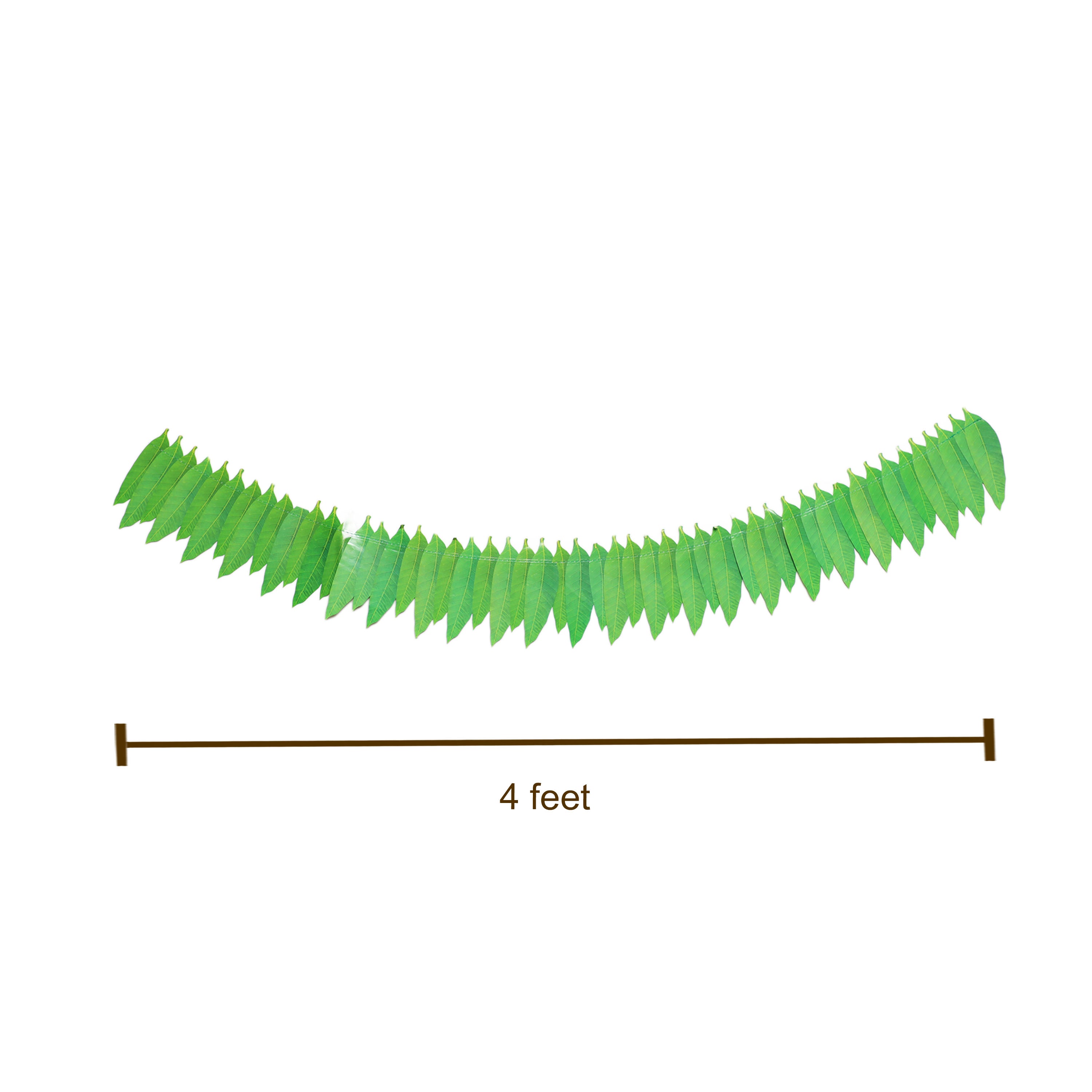 Green Mango Toran for decor