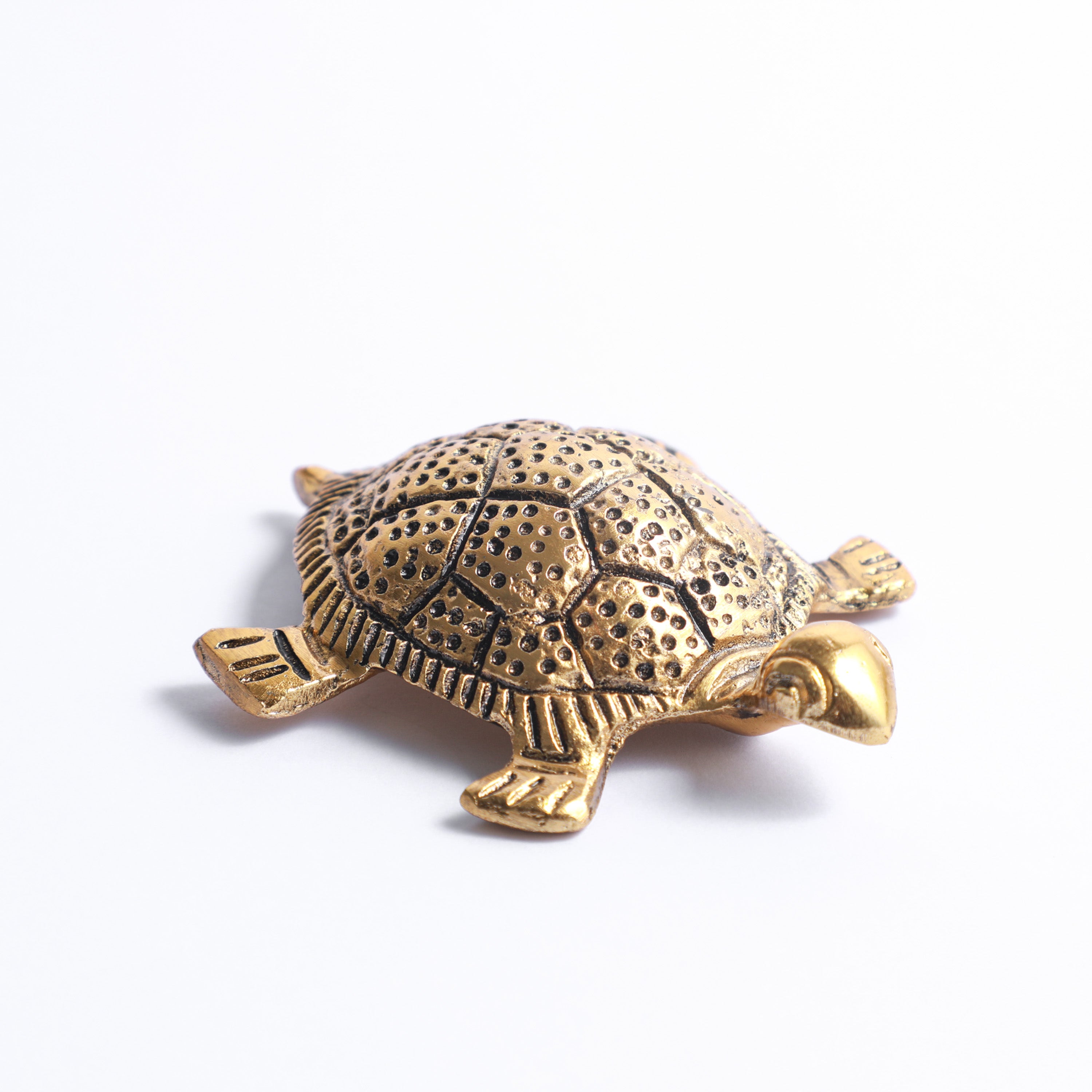 Gold tortoise for feng shui in the USA