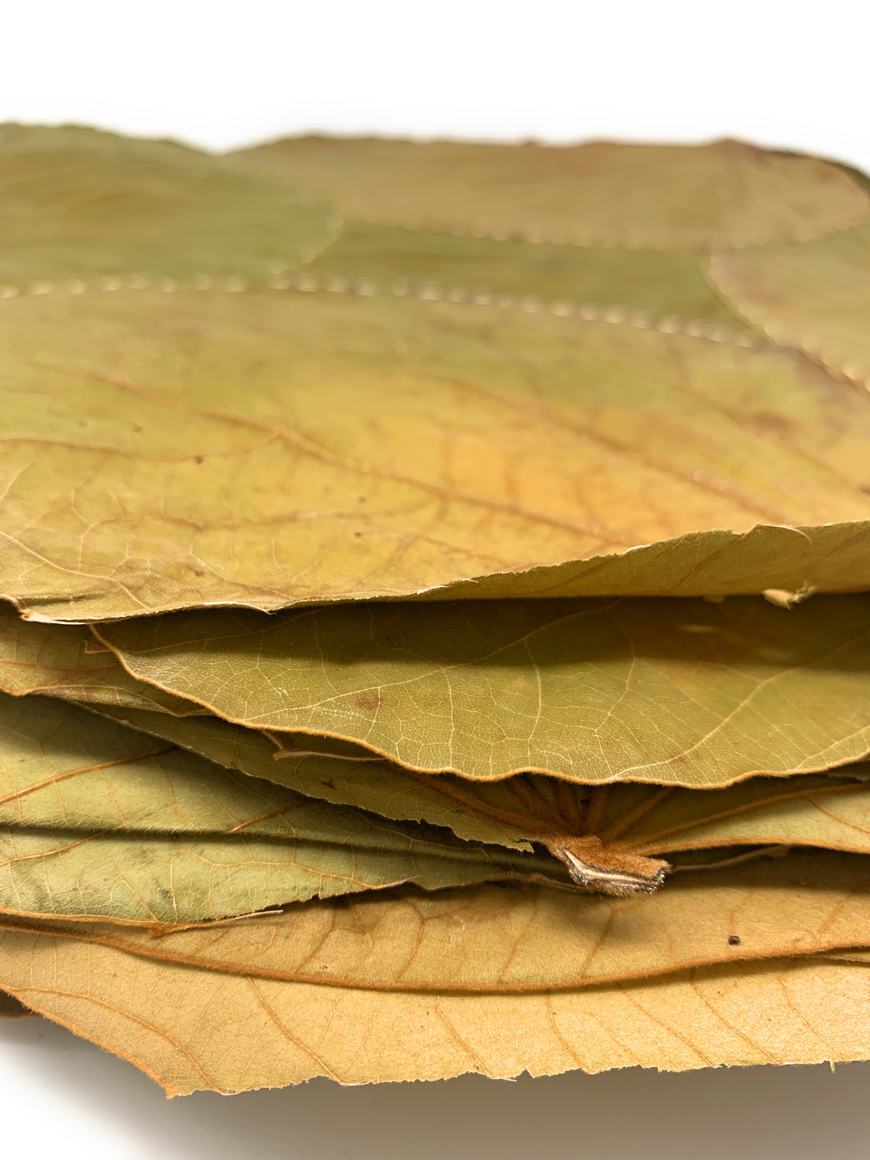 Background props for stage decorations